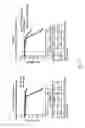Fig. 28 - Alkylating agent for alkylating target with driver oncogene mutation