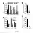 Fig. 06 - FOXC2 inhibitor and methods of use thereof
