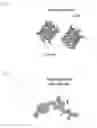 Fig. 02 - Dummy-fluorescent protein fusions and methods of use