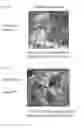 Fig. 04 - Dummy-fluorescent protein fusions and methods of use
