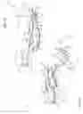 Fig. 05 - Device and method for sterilizing a catheter system