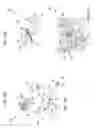 Fig. 20 - Device and method for sterilizing a catheter system