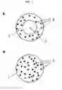 Fig. 02 - Wound dressing or dermal patch