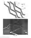 Fig. 08 - Pattern transfer device for mass transfer of micro-patterns onto medical devices