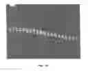 Fig. 09 - Pattern transfer device for mass transfer of micro-patterns onto medical devices