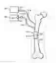 Fig. 01 - MANIFOLDS, SYSTEMS, AND METHODS FOR ADMINISTERING REDUCED PRESSURE TO A SUBCUTANEOUS TISSUE SITE