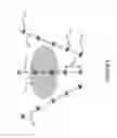 Fig. 07 - Cell delivery system and methods of operation thereof