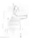 Fig. 02 - Neck strap, crown strap assembly and headgear for a breathing mask