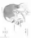 Fig. 09 - Neck strap, crown strap assembly and headgear for a breathing mask
