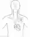 Fig. 01 - Implantable device for providing electrical stimulation of cervical vagus nerves for treatment of chronic cardiac dysfunction