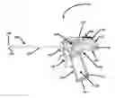 Fig. 01 - Ultrasonic surgical device and method for detection of attachment of ultrasonic probe