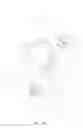 Fig. 02 - Nose clip structure