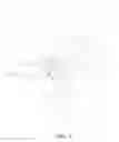 Fig. 04 - Nose clip structure