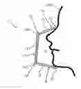 Fig. 01 - BREATHING HALF MASK