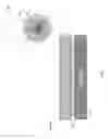 Fig. 02 - Light generating microcapsules for photo-curing