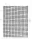 Fig. 02 - Ground covering for outdoor application