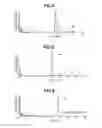 Fig. 03 - LAMINATED BODY AND PRODUCTION METHOD THEREFOR