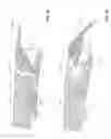 Fig. 03 - Distributed trailing edge wing flap systems