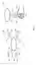 Fig. 02 - TRANSFORMABLE APPARATUS