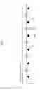 Fig. 08 - Relay conveyance device and image forming apparatus