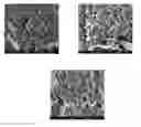Fig. 01 - RENEWABLE AND COST-EFFECTIVE FILLERS FOR POLYMERIC MATERIALS