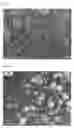 Fig. 02 - Epoxy resin composition for sealing semiconductor device, and semiconductor device sealed using same
