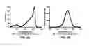 Fig. 09 - Azacyanine dyes and use thereof