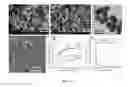 Fig. 04 - Homogeneous persistent luminescence nanocrystals and methods of preparation and application thereof
