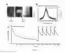 Fig. 05 - Homogeneous persistent luminescence nanocrystals and methods of preparation and application thereof