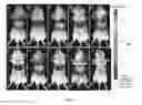 Fig. 07 - Homogeneous persistent luminescence nanocrystals and methods of preparation and application thereof