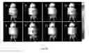 Fig. 19 - Homogeneous persistent luminescence nanocrystals and methods of preparation and application thereof