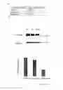 Fig. 02 - Adeno-associated-virus Rep sequences, vectors and viruses