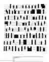 Fig. 13 - Adeno-associated-virus Rep sequences, vectors and viruses