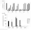 Fig. 06 - 5′-triphosphate oligoribonucleotides