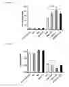 Fig. 41 - 5′-triphosphate oligoribonucleotides