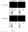 Fig. 03 - Method for base editing in plants