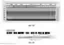 Fig. 12 - Method for base editing in plants