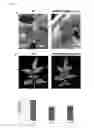 Fig. 22 - NUCLEOTIDE SEQUENCE FOR IMPROVING RESISTANCE AGAINST PLANT PATHOGENS