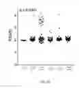 Fig. 24 - THERAPEUTIC TREATMENT OF SELECT DIFFUSE LARGE B CELL LYMPHOMAS EXHIBITING DISTINCT PATHOGENIC MECHANISMS AND OUTCOMES