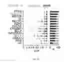 Fig. 27 - THERAPEUTIC TREATMENT OF SELECT DIFFUSE LARGE B CELL LYMPHOMAS EXHIBITING DISTINCT PATHOGENIC MECHANISMS AND OUTCOMES