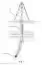 Fig. 02 - Unidirectionally extendable cutting element steering