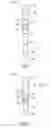 Fig. 02 - Downhole tool assembly