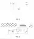 Fig. 02 - Polymeric tracers