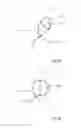 Fig. 04 - Screw-retaining device and screw-retaining kit