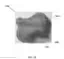 Fig. 12 - Mechanical structure for shock absorption and vibration reduction