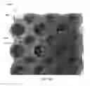 Fig. 15 - Mechanical structure for shock absorption and vibration reduction