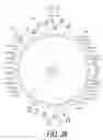 Fig. 40 - Bicycle sprocket