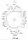 Fig. 47 - Bicycle sprocket