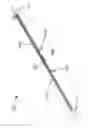 Fig. 02 - Track system for image capture devices
