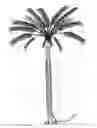 Fig. 01 - Lighting system for a palm tree